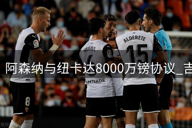阿森纳与纽卡达8000万镑协议 吉马良斯接近加盟